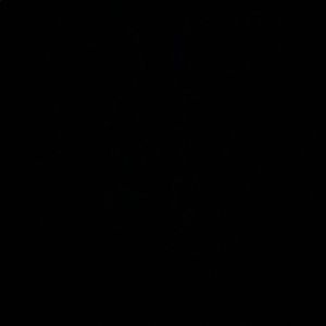 Meet your Posher, Ally